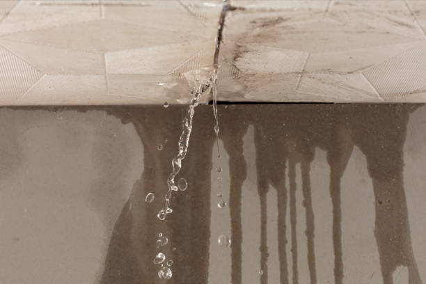 Professional Structural Drying technician working in Eden, NC